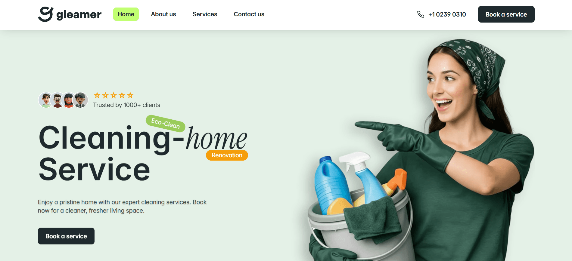 Web design concept for Premium Cleaning Services in the Home Services industry